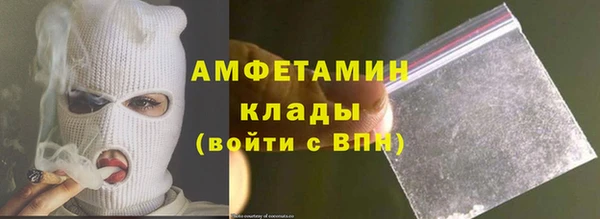 шишки Щёлкино