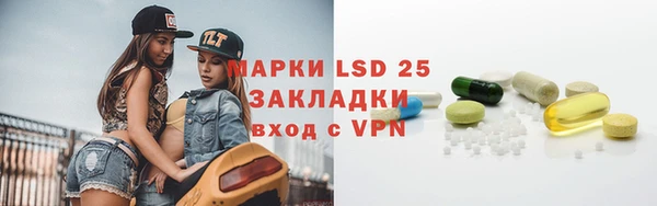 ПСИЛОЦИБИНОВЫЕ ГРИБЫ Щигры
