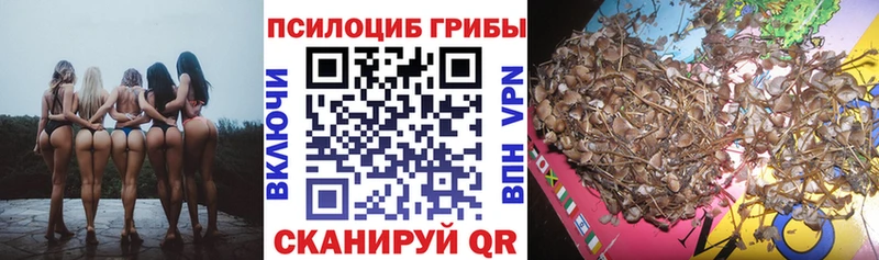 Купить где  Орск  Галлюциногенные грибы Magic Shrooms 